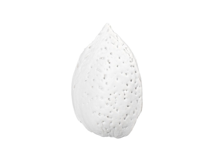 clay rendering of an almond in shell 3d model