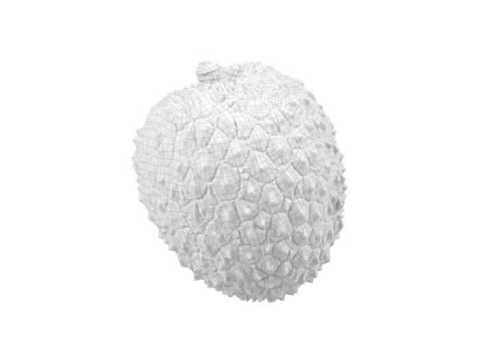 wireframe rendering of a lychee 3d model