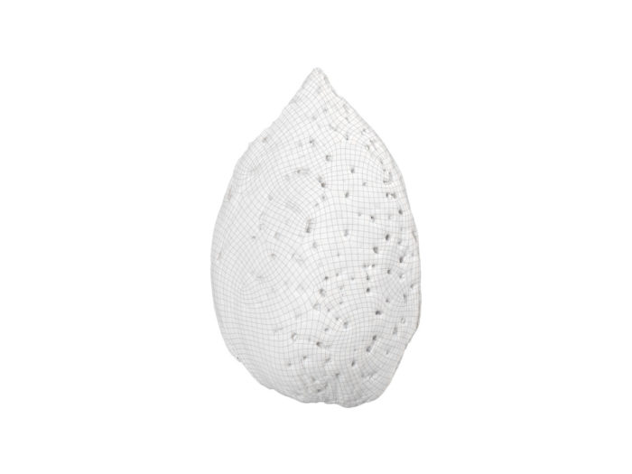 wireframe rendering of an almond in shell 3d model