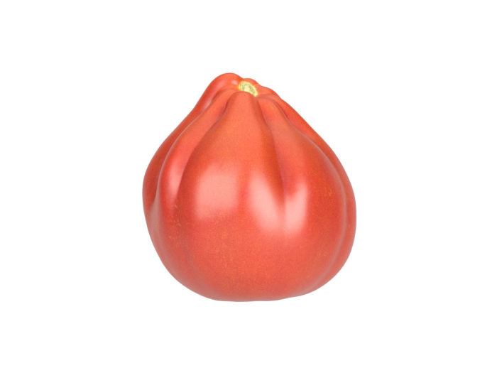 side view rendering of an oxheart tomato 3d model