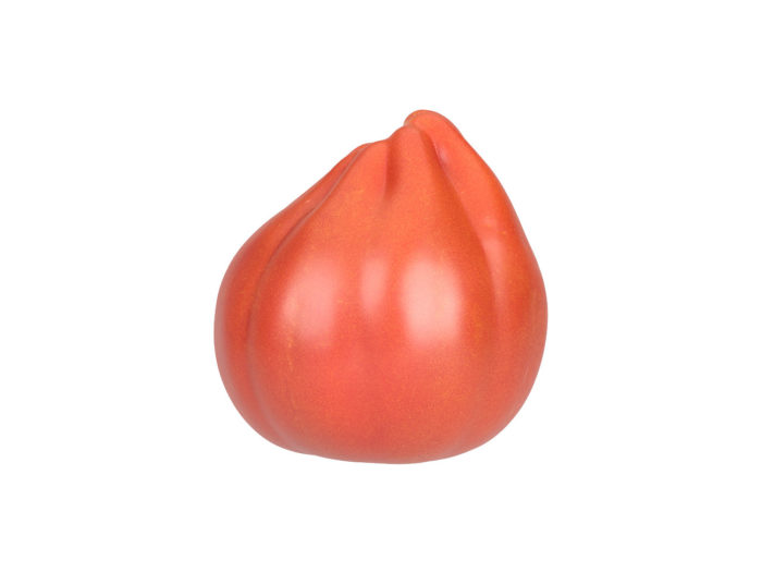 side view rendering of an oxheart tomato 3d model