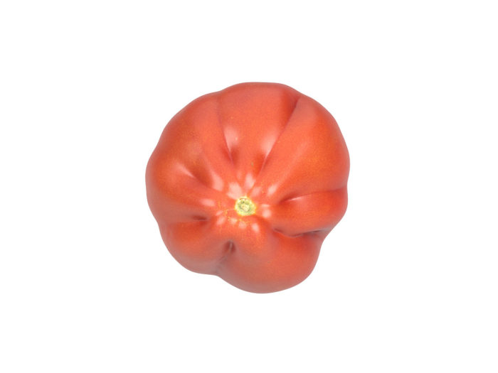 top view rendering of an oxheart tomato 3d model