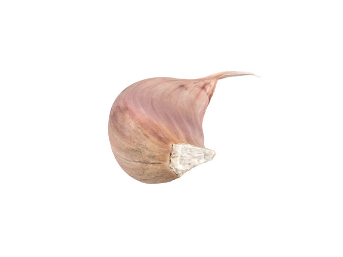 bottom view rendering of a garlic clove 3d model