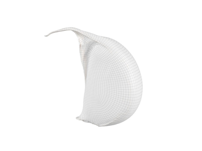 wireframe rendering of a garlic clove 3d model