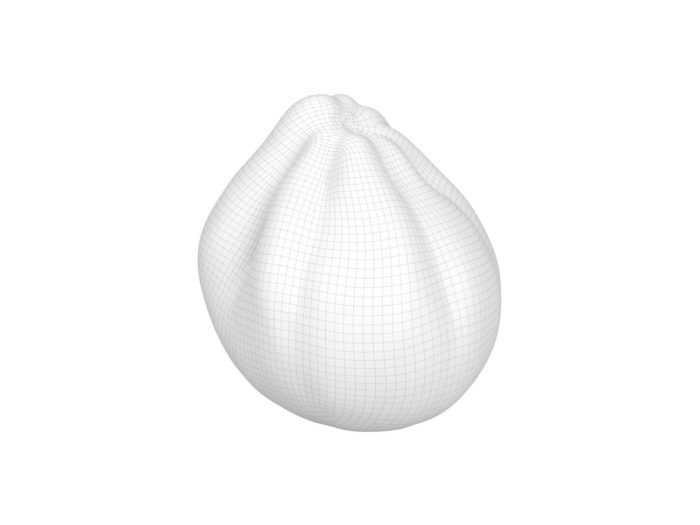 wireframe rendering of an oxheart tomato 3d model
