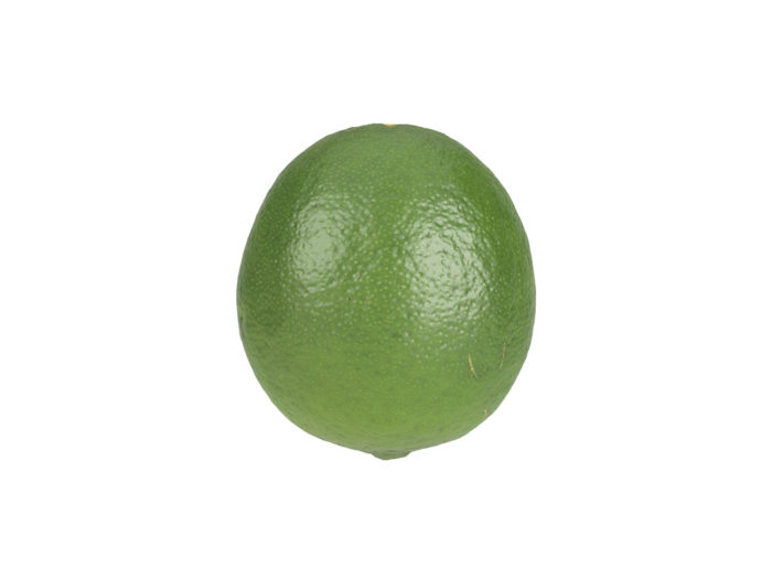 side view rendering of a lime 3d model