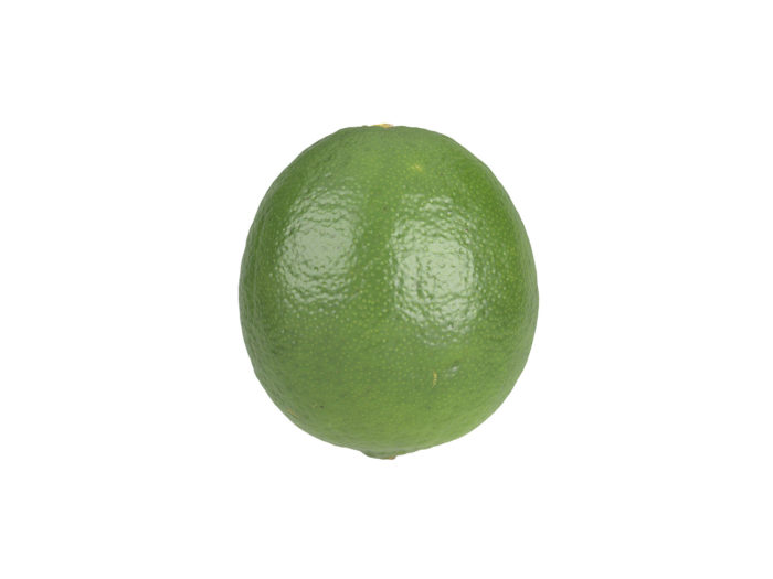 side view rendering of a lime 3d model