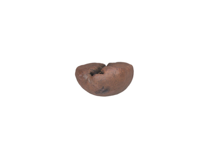 top view rendering of a coffee bean 3d model