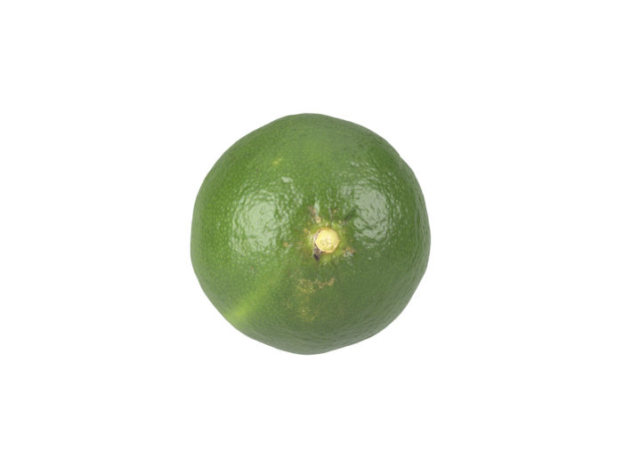 top view rendering of a lime 3d model