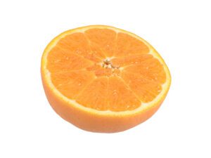 Orange Half #1