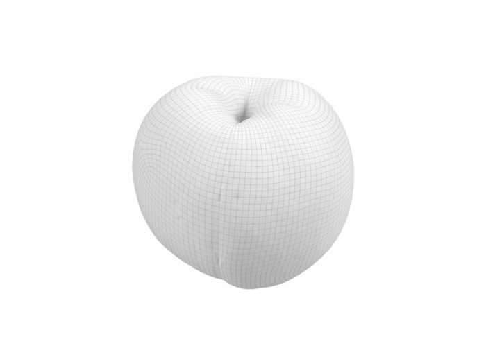 wireframe rendering of a peach 3d model