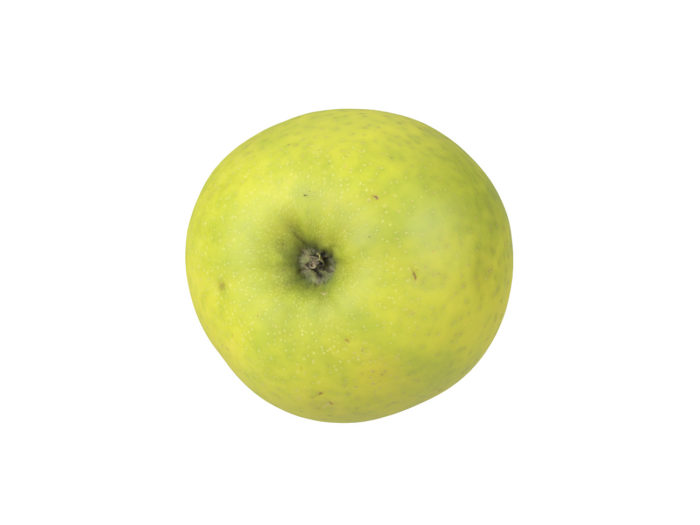 bottom view rendering of a green apple 3d model