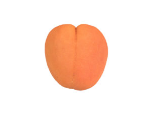 Apricot #2