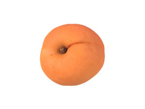 Apricot #2