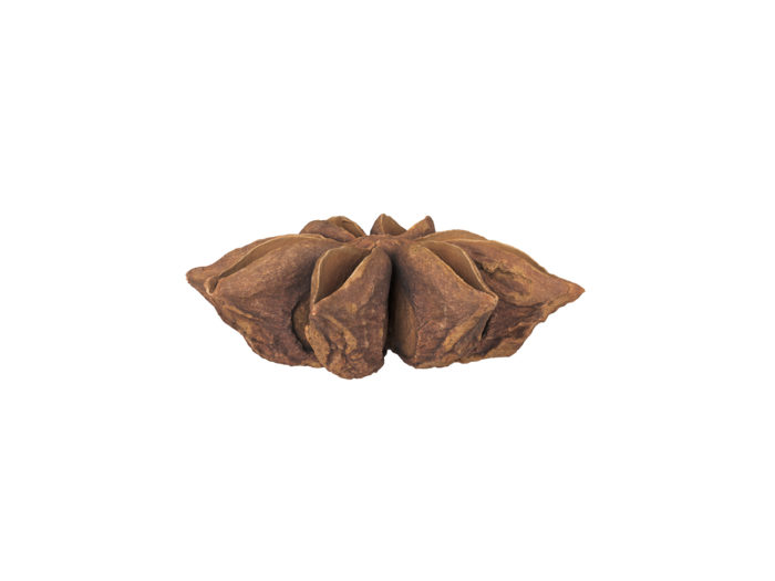 side view rendering of a star anise 3d model