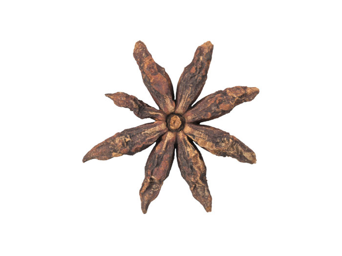 bottom view rendering of a star anise 3d model