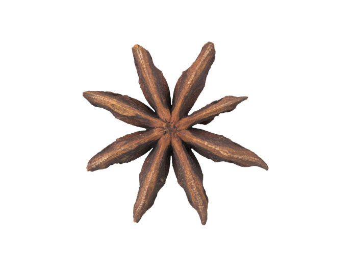 top view rendering of a star anise 3d model