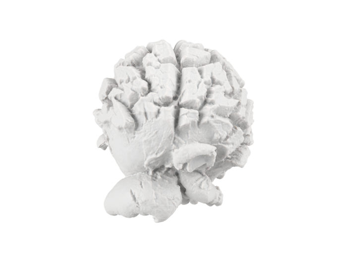 clay rendering of a popcorn 3d model