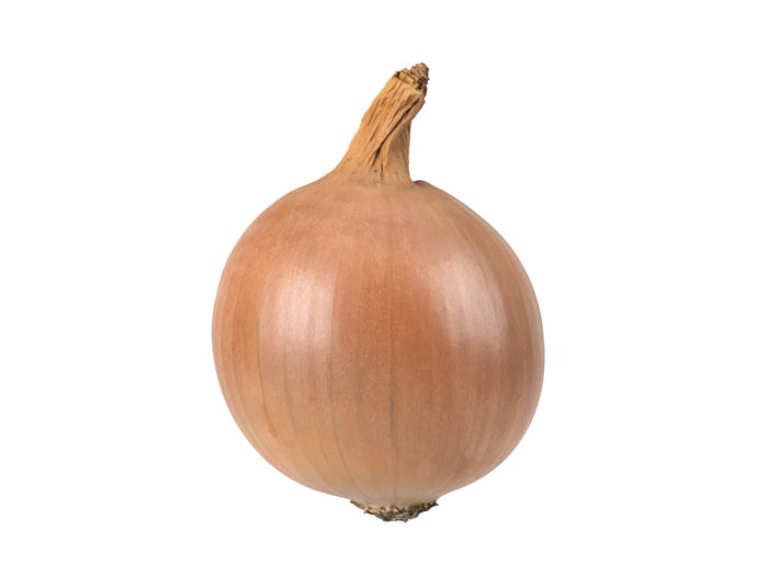 side view rendering of an onion 3d model