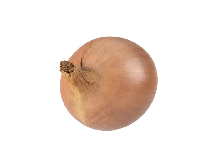 top view rendering of an onion 3d model