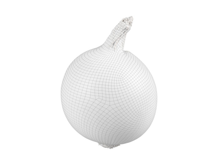 wireframe rendering of an onion 3d model
