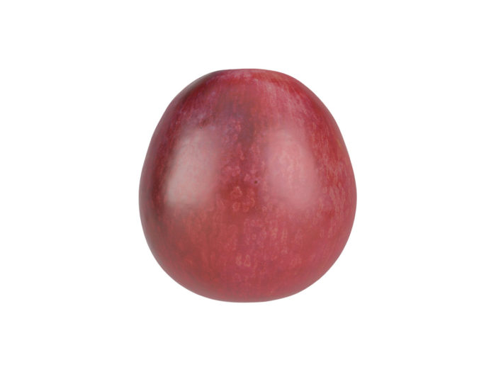 side view rendering of a red grape 3d model