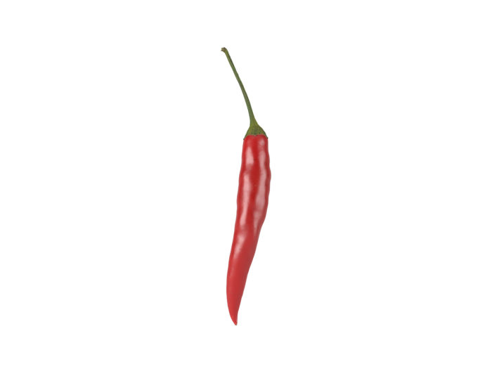 side view rendering of a chili 3d model