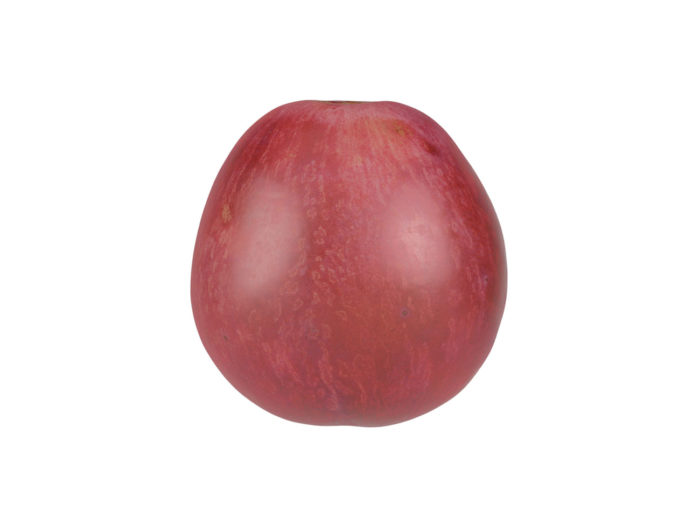 side view rendering of a red grape 3d model
