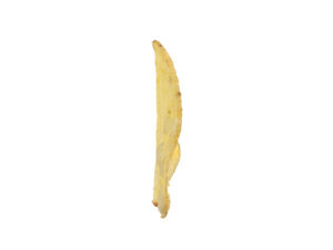 Potato Chip #1