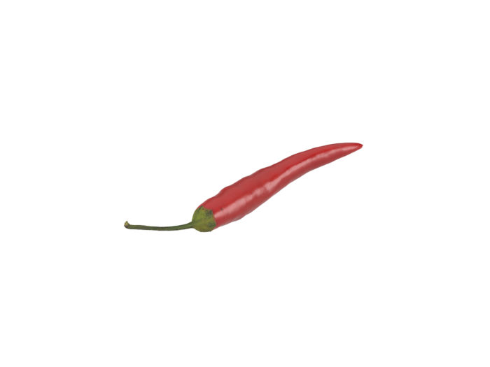 perspective view rendering of a chili 3d model