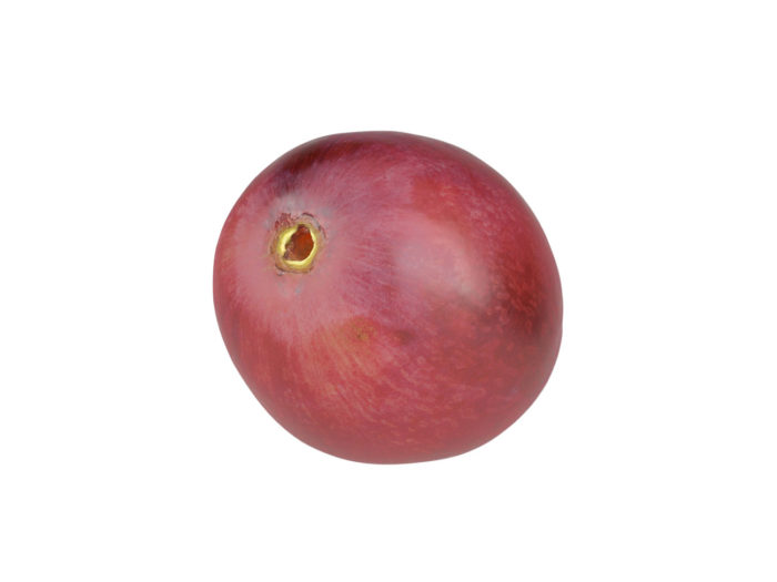 top view rendering of a red grape 3d model