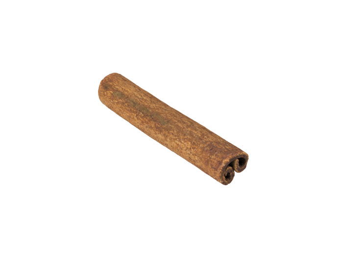 perspective view rendering of adried cinnamon stick 3d model
