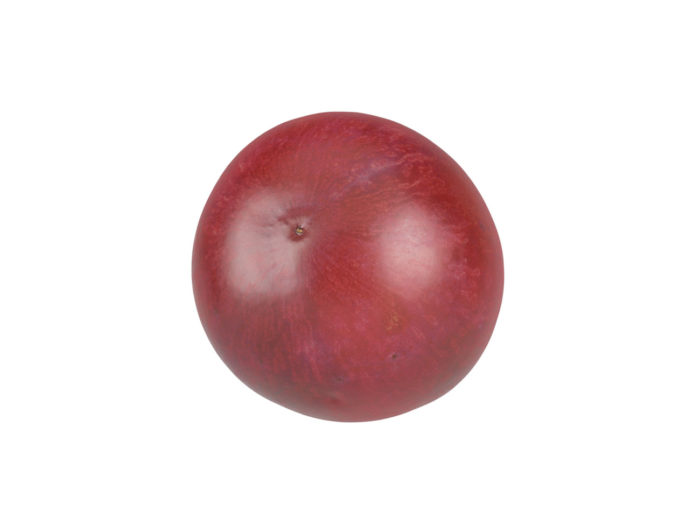bottom view rendering of a red grape 3d model