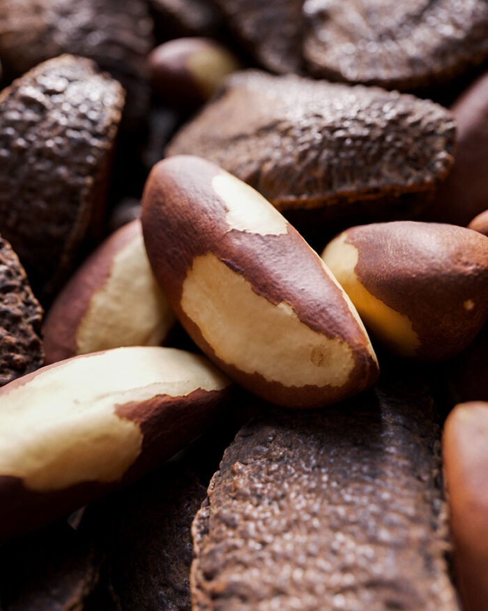 brazil nut sample image