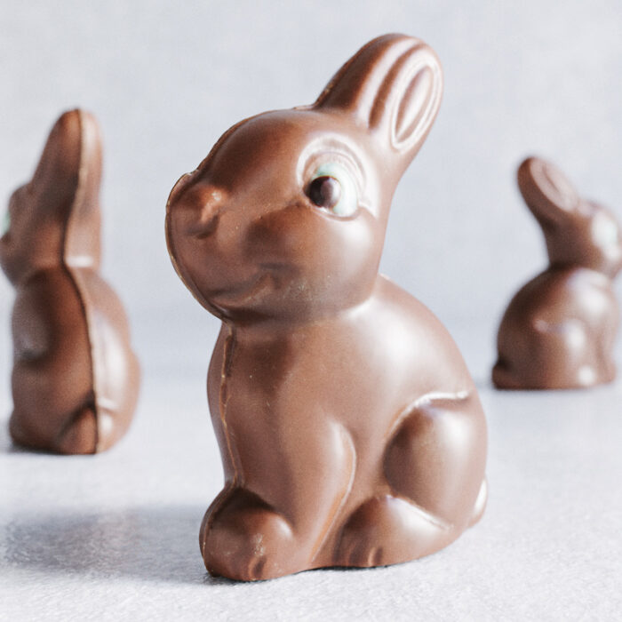chocolate bunny sample image