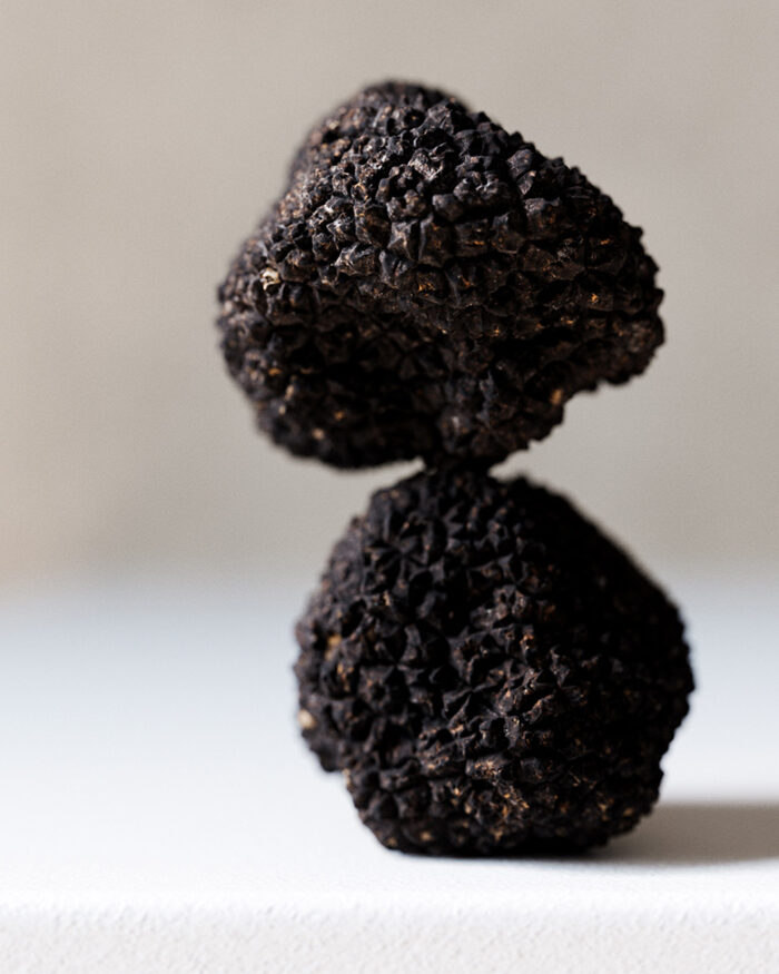 truffle sample image